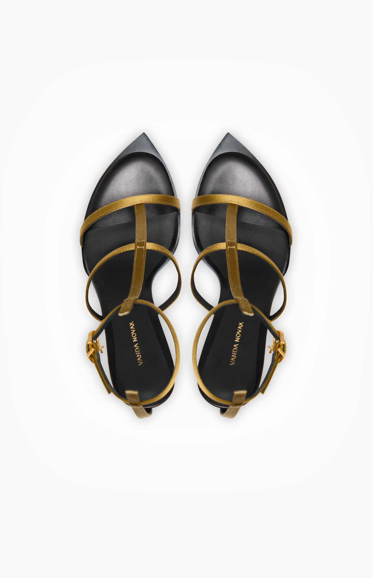 HOLLY GOLDEN OLIVE
