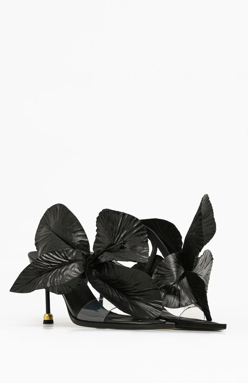 DAISY DEEP BLACK