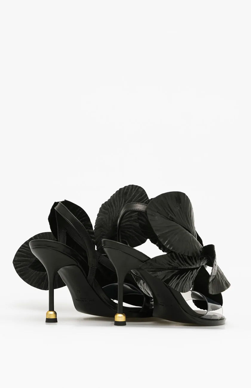 DAISY DEEP BLACK